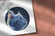 Logotipo para medicina de felinos