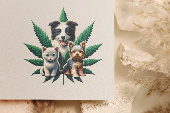 Logotipo para cannabis medicinal veterinária e controle da dor