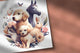 Logotipo veterinário