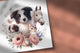 Logotipo veterinário