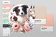 Logotipo veterinário