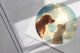 Identidade Visual Veterinária