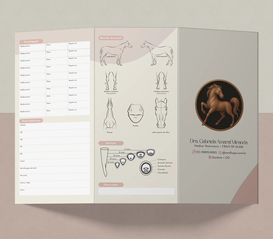 Carteira de vacinação para equinos aberta com identificação e diagramas do animal